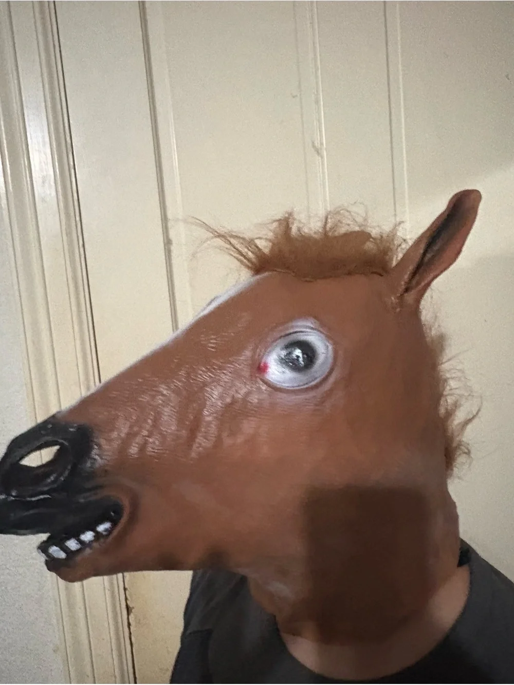 Novelty Horse Head Mask - Brown Costume Accessory Halliween